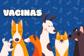 00_banner_complexosaudeanimal_vacinas